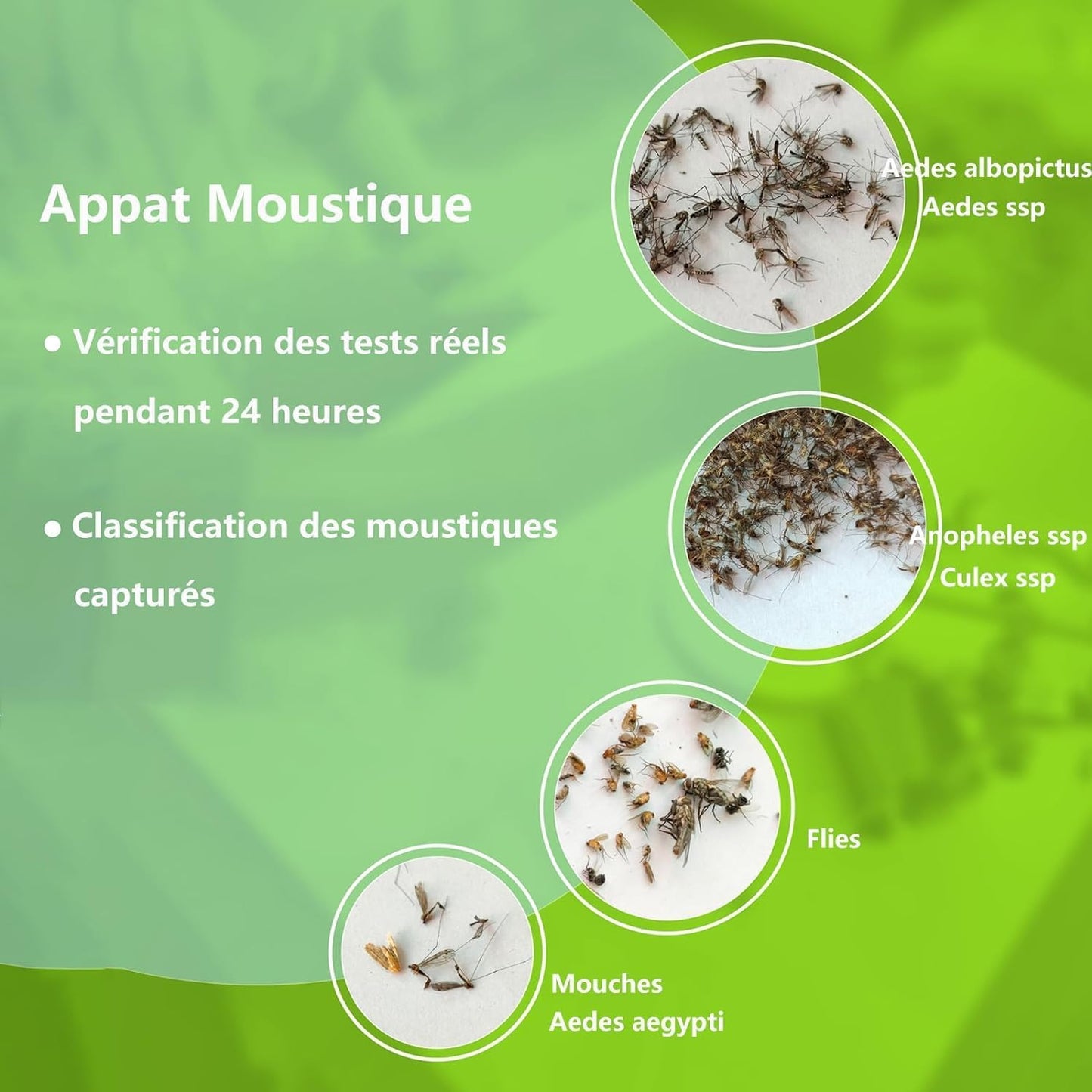 Moustizen Appât moustique 